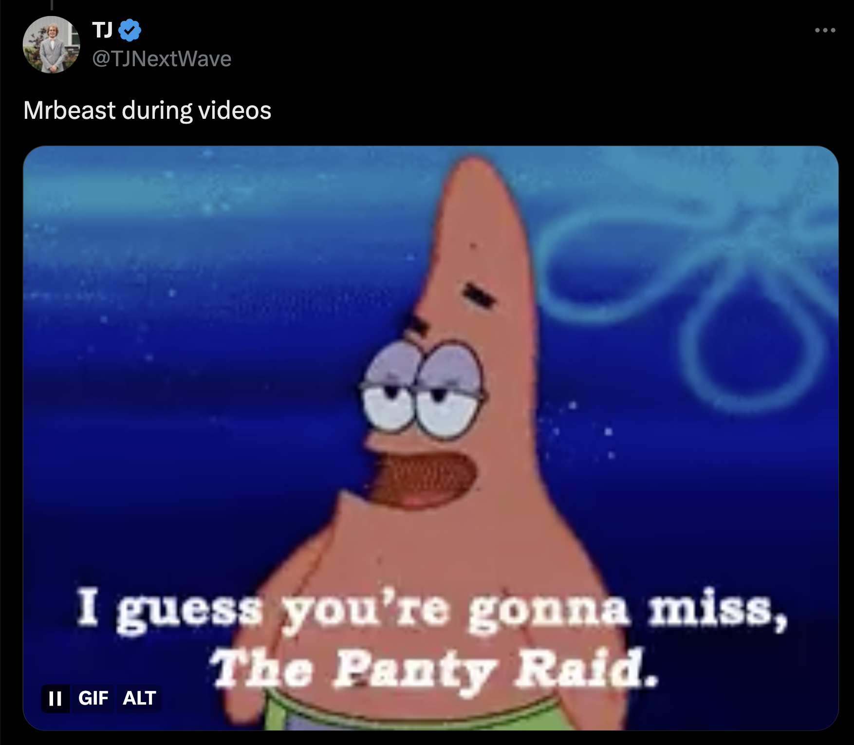 cartoon - Tj Mrbeast during videos I guess you're gonna miss, Ii Gif Alt The Panty Raid.